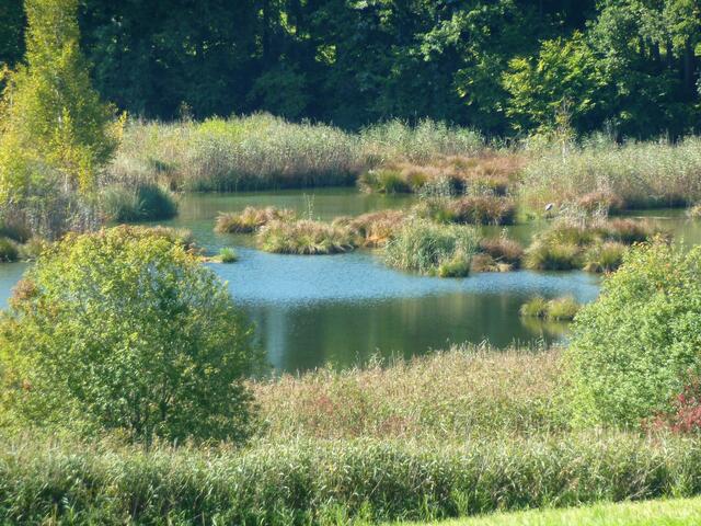 Biotoplandschaft