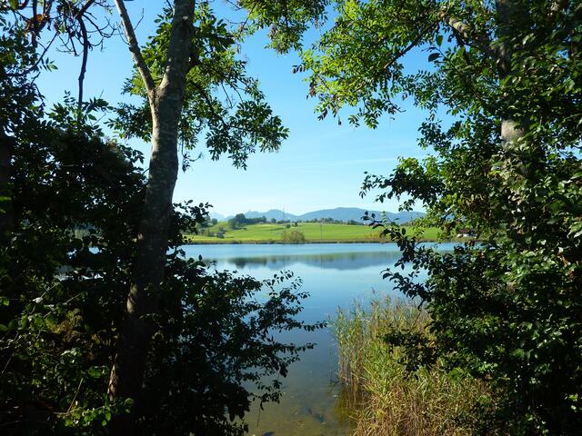 Blick auf den kleinen Froschhauser See