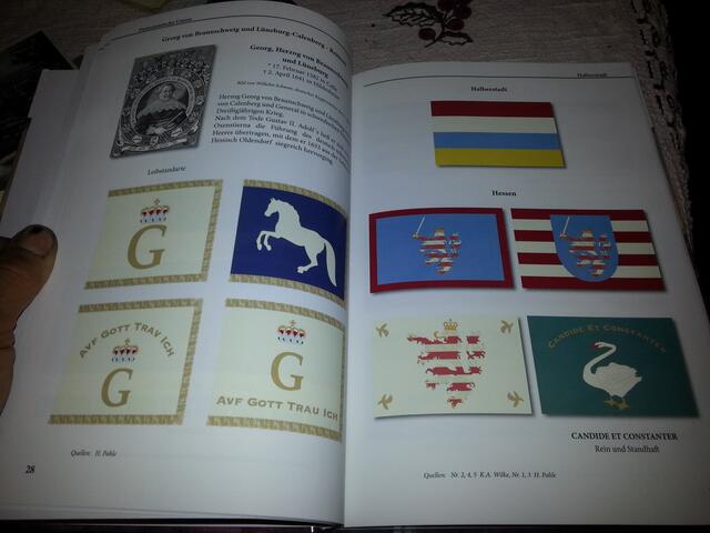 Beispielseite - Fahnen eines Regimentes