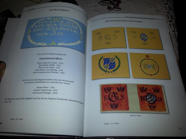 Beispielseite - Fahnen eines Regimentes