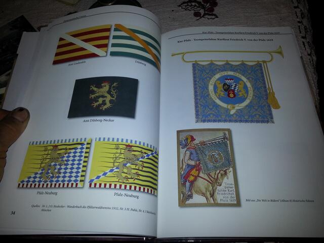 Beispielseite - Fahnen eines Regimentes