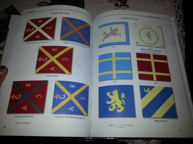 Beispielseite - Fahnen eines Regimentes
