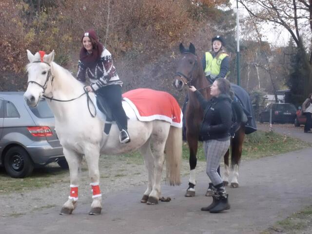 Richtige Knuffelvierbeiner. Etwas nervös aber sonst  alles ok.