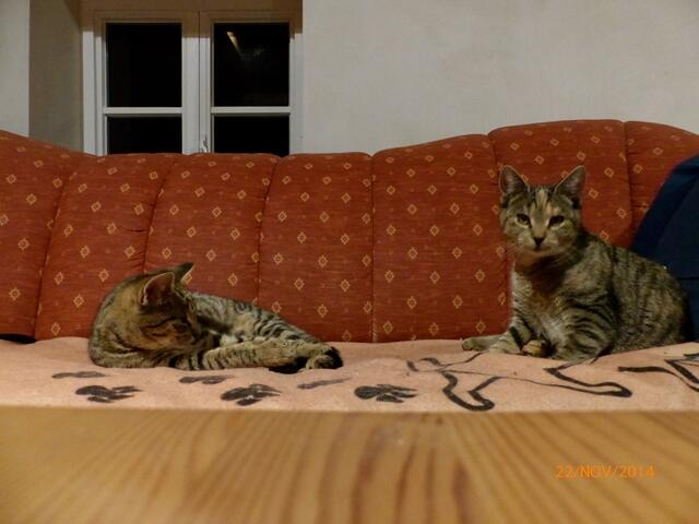 Du da mit Deiner komischen Kiste kannst jetzt auch mal weggehen - oder mit uns spielen!!!