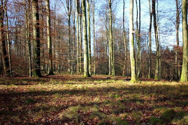 So schön ist Natur