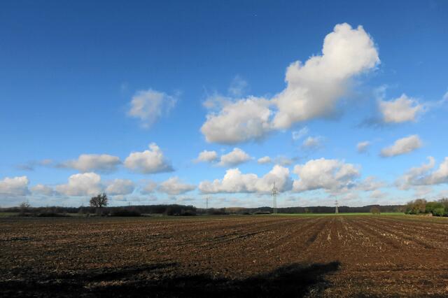 Ahlten-Nord, 24.11.2014 13:30 Uhr - Große "fliegende Schafe" - Blickrichtung nach Norden -