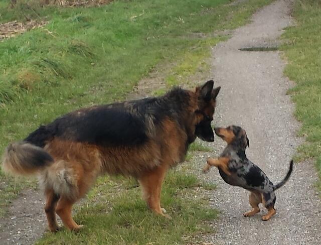Spiel mit mir