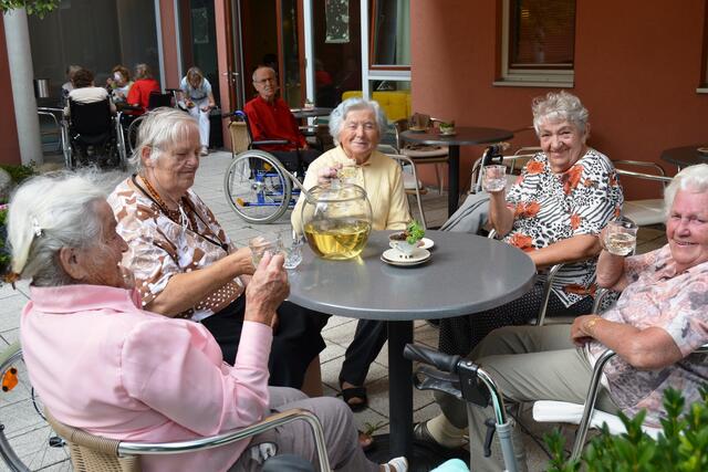 mit allen Sinnen bei der Kräuterwoche