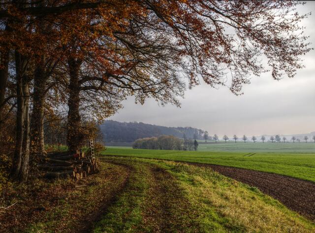 Die schönste Kurve im Calenberger Land!