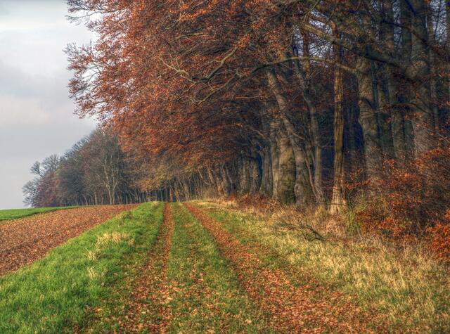 Der Rückweg ist auch eine Augenweide.