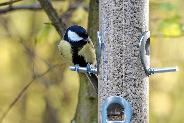 "Cool, ein nagelneues Füttersilo und alles noch blitzblank! Sogar mit gummierten Haltestangen!"
