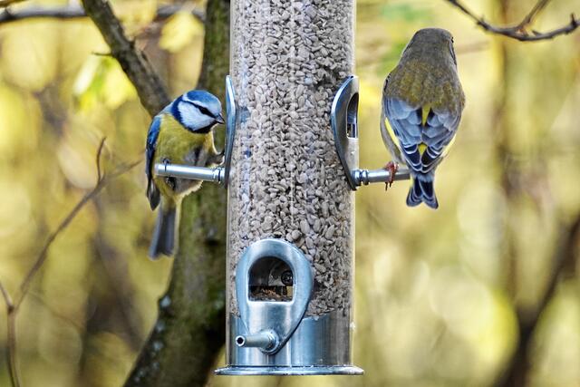 "Endlich ist mein Stammplatz wieder frei!"