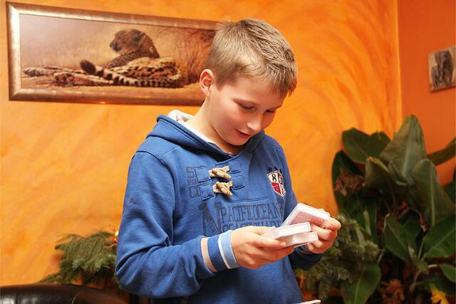 Begutachten der neuen Quartetts