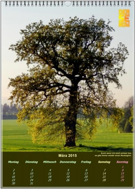 Wir haben in unserer Landschaft hier einige solitär stehende Naturschönheiten, die zu erklären ist müßig - "Auch wenn ich mich schwer tue, es gibt immer wieder einen Neubeginn."