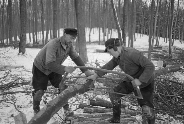 Knüppelholz | Foto: aus Küttner-Archiv