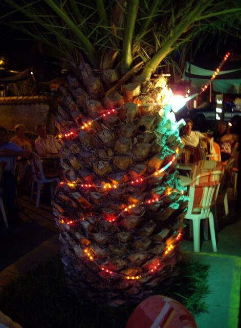 Palmweihnacht