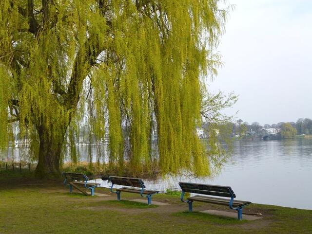 Außenalster in Hamburg