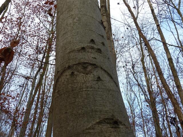 Alles im Blick ...!
