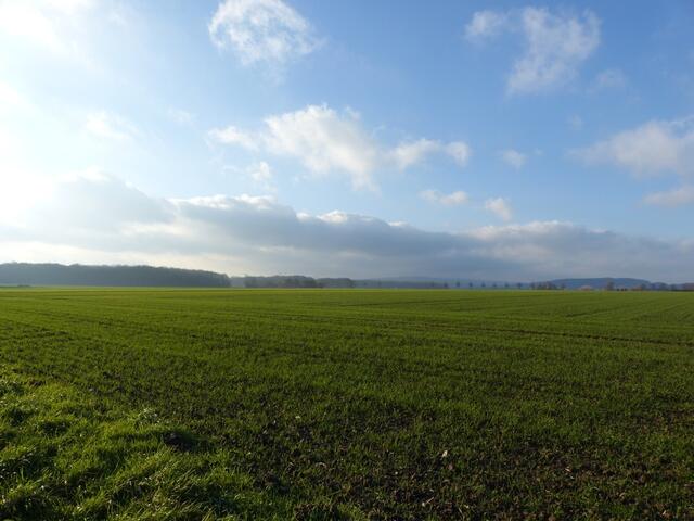 Noch ein weiter Blick Richtung Hildesheim und ab nach Hause! Tschüß, bis zum nächsten Mal.