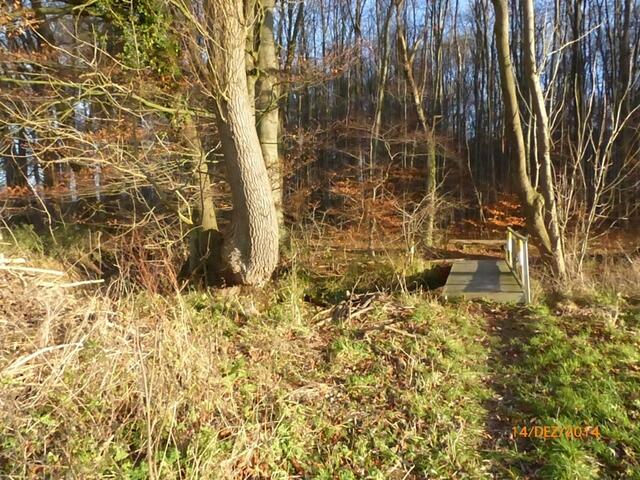 Über diese kleine Holzbrücke über die Beeke (Gestorfer Bach) muss man noch gehen, dann ist man im Wald.