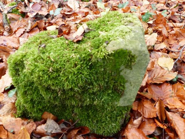 Das steinerne Herz