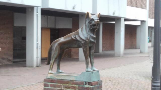 Wolfenbüttel kommt NICHT vom Wort "Wolf" sondern vom Vornamen Wulferi und dem Anhang altniederdeutschen Wort "-büttel ==> bodal und bedeutet „Haus und Hof“ oder „Siedlung