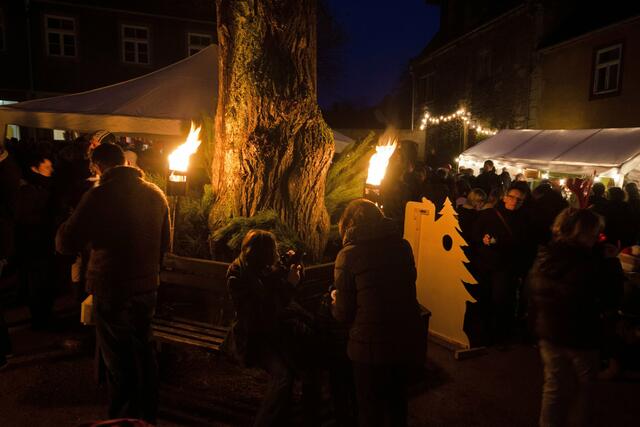 Schlossweihnacht in Kranichfeld | Foto: SCHWARZE-art-PHOTOGRAPHIE