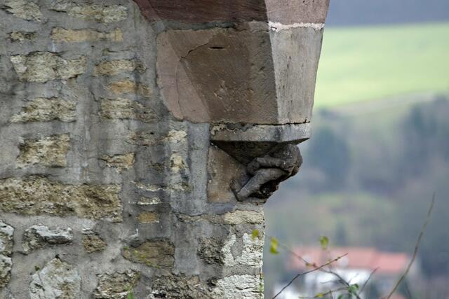 Der Leckarsch | Foto: SCHWARZE-art-PHOTOGRAPHIE