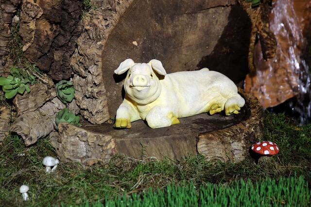 Mit dem Wetter hatten wir echt Schwein. Nur einmal ein paar Tropfen. Aber was soll's. War wieder toll.