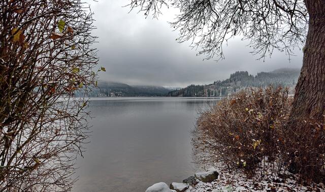 Der Titisee