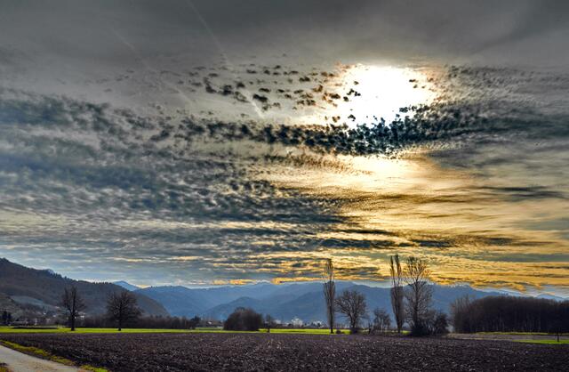 Wintersonne über dem Schwarzwald