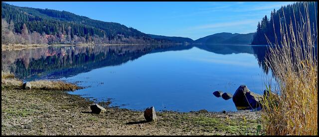 Am Schluchsee.  Während die  Täler im kalten Winternebel liegen, sind hier oben noch frühlingsfhafte Temperaturen, am 29.11 2014