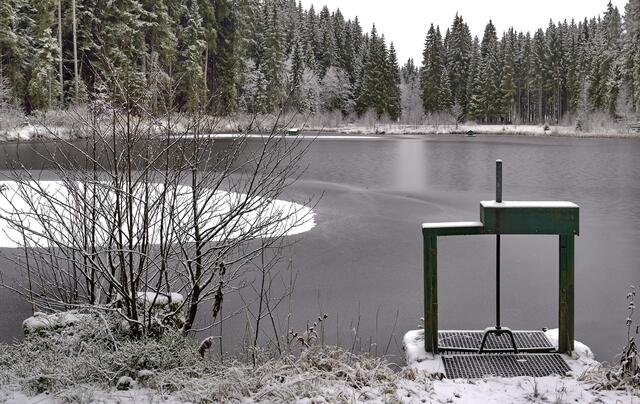 Der  kleine Moorsee im Wald am Titisee
