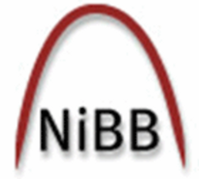 Netzwerk unabhängiger Bürgerinnen und Bürger | Foto: NiBB