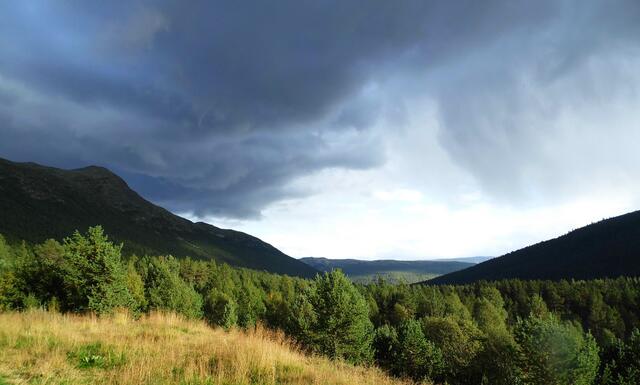 Weite völlig unbesiedelte Landschaften breiten sich in so manchen Gebieten aus.