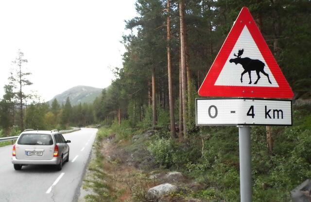 Wenig befahrene Straßen führen nur drum herum. Und wenn man das nötige Glück hat...