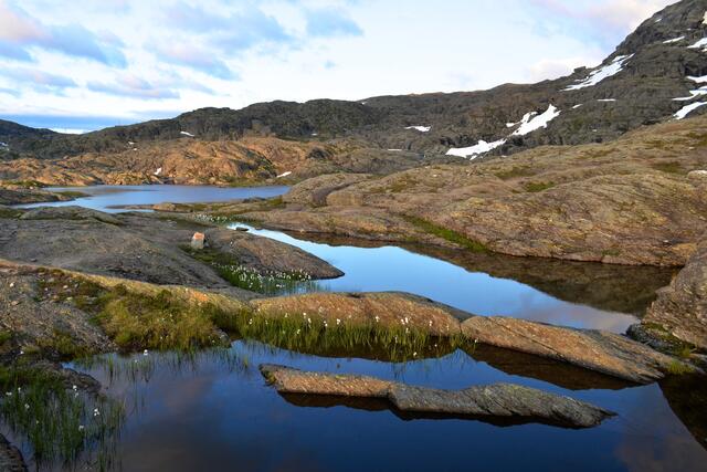 Granitbuckel, Wasser und Wollgras. Eine schöne Naturkomposition.