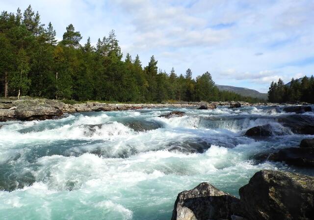 Die Flüsse lassen auch an Kanada oder Alaska denken. Fehlen nur die Bären in den Stromschnellen, von denen nur wenige in Norwegen ihren Lebensraum haben.