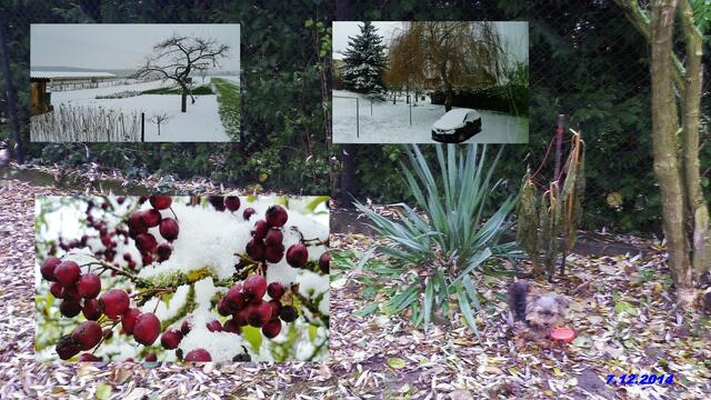 (49) !!! Sonntags + Monatsbilder / Blumenbeet !!! 7.12.2014 - Temperatur: Plus 4C° 7:22h / 6°C Plus 15:23h / Wind: 1-3 / Heute mal ein paar Mittwochsschneebilder und ein Sonntagsbild - zZ. ist es trocken kalt !