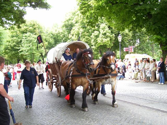 Juni - Kirschfestumzug am Postring