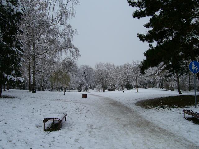 November - Spätherbst im Stadtpark