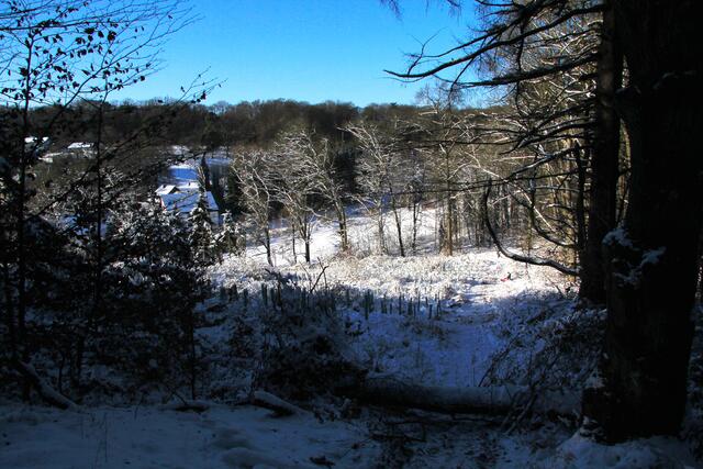 Blick auf Elsenhöhe. Im Vordergrund die ehemalige "Waldbahn". Dies war die Schlittenbahn der Kinder bis in die 1960er-Jahre.