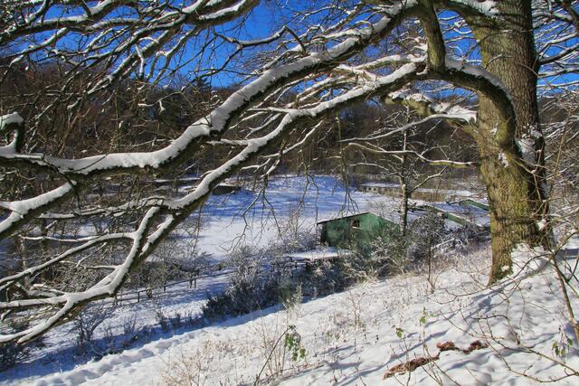 Teilbereich der Elsenhöhe