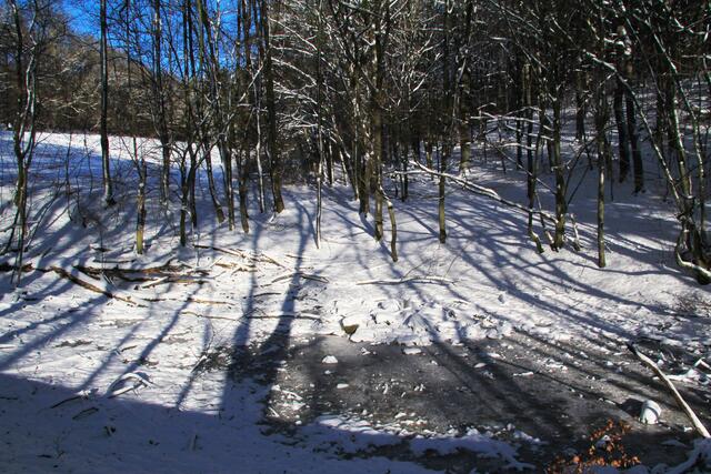 Eine von mehreren kleinen Teichen, welche um den Bereich des Behring-Mausoleums angelegt waren: Im Sommer für Lurche und andere Wassertiere, im Winter zum Schlittschuhlaufen.