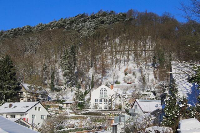 Blick vom Sattel zwischen Augustenruhe und Kirchspitze auf die Kirchspitze. Dort soll in früherer Zeit eine Wallanlage bestanden haben. Spätere Generationen, die sich für Marburger Geschichte interessieren sollten, werden hier vielleicht mit Ausgrabungen fündig. Und: Zeigt nicht dieses Foto einen schneefreien Ring unterhalb der Kirchspitze?