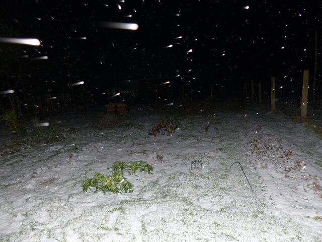 Der Gemüsegarten schneit langsam zu.