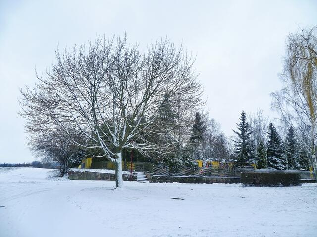 Der Schnee ist auch bei uns im Flachland angekommen - allerdings ohne Sonne - am 29.12.2014 !
