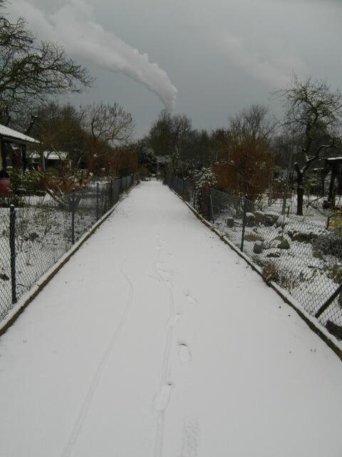 Auf dem Weg zum Garten ,nur meine Spuren !