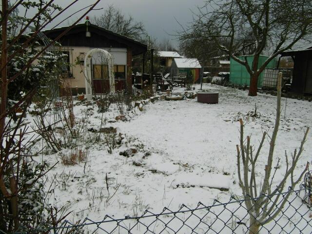 Blick über den Zaun in den Garten !