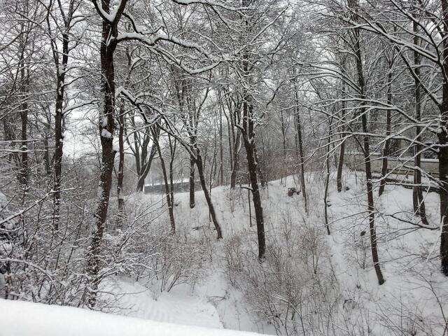Blick in den Schlossgraben